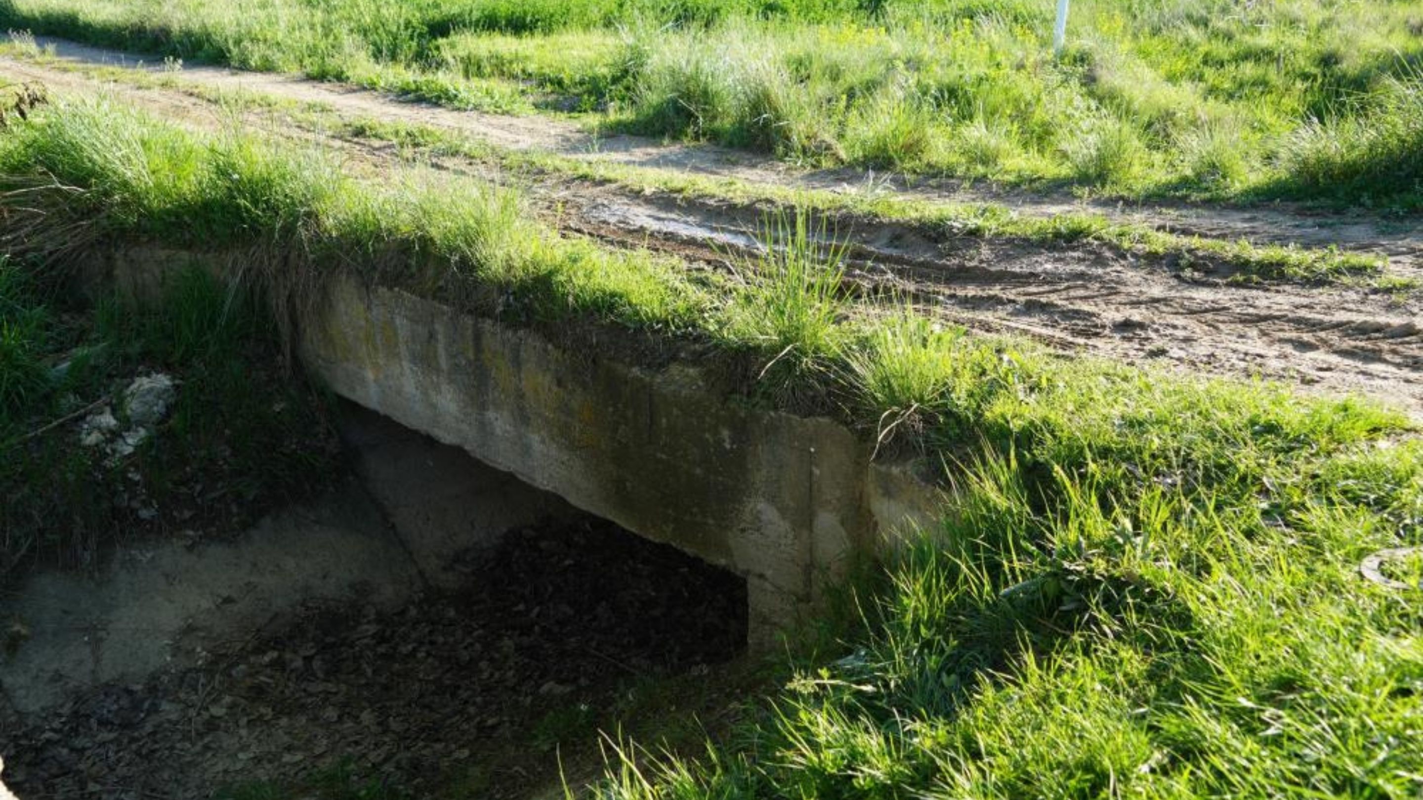 Kastamonu’daki Kesik Baş Cinayeti Sanık “Pişmanım” Dedi, Aileye Baş Sağlığı Diledi (2)