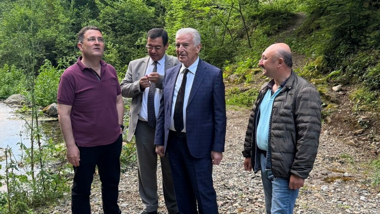 Kastamonu’nun Doğal Cennetine Yatırım Saray Şelalesi Projesi İncelendi (1)