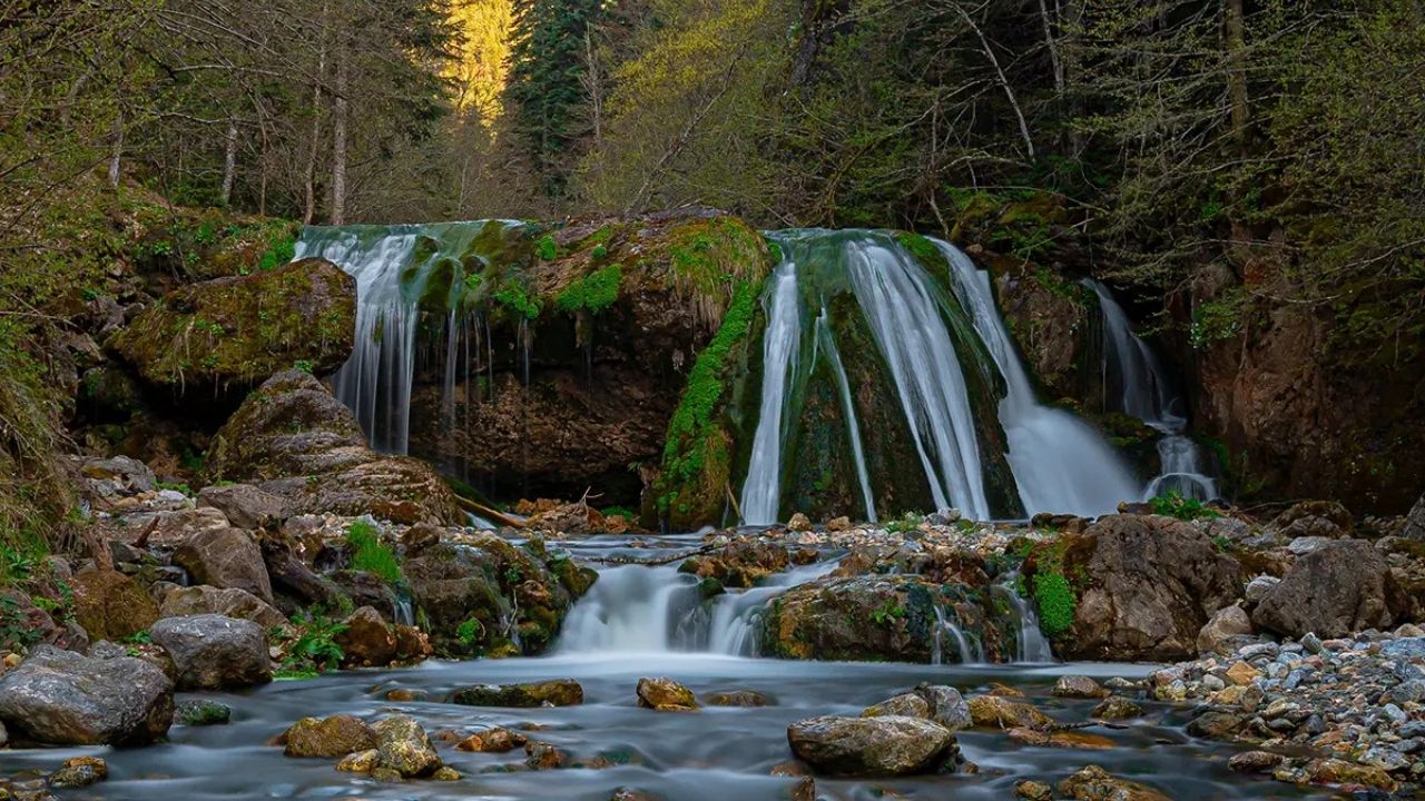Kastamonu’nun Doğal Cennetine Yatırım Saray Şelalesi Projesi İncelendi (2)