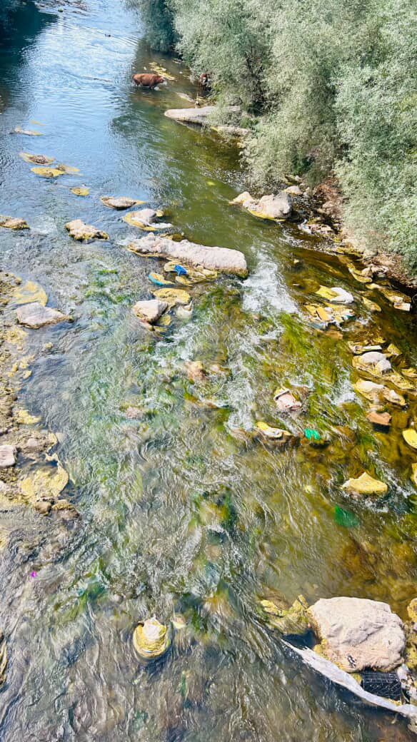 Kastamonu'nun Ilçesinde Çöp Tepkisi Vatandaşlar Isyan Etti! 8