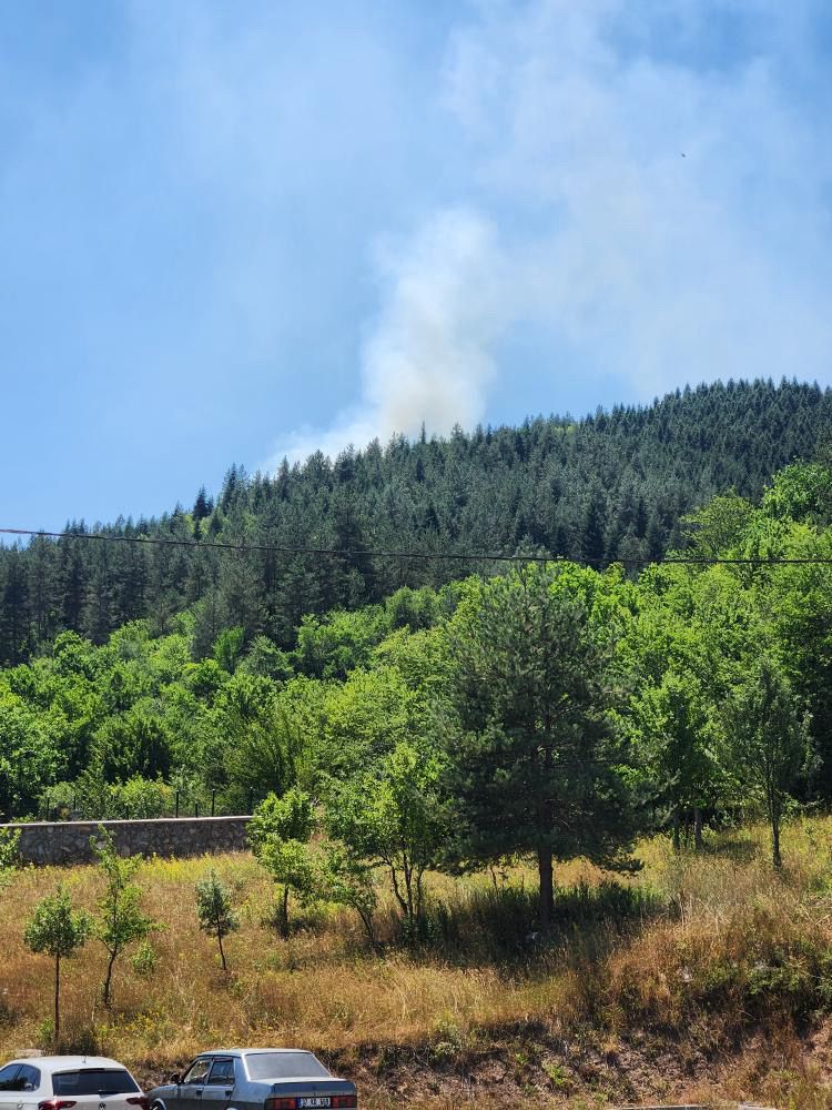 Kastamonu'nun Ilçesinde Orman Yangını! 1