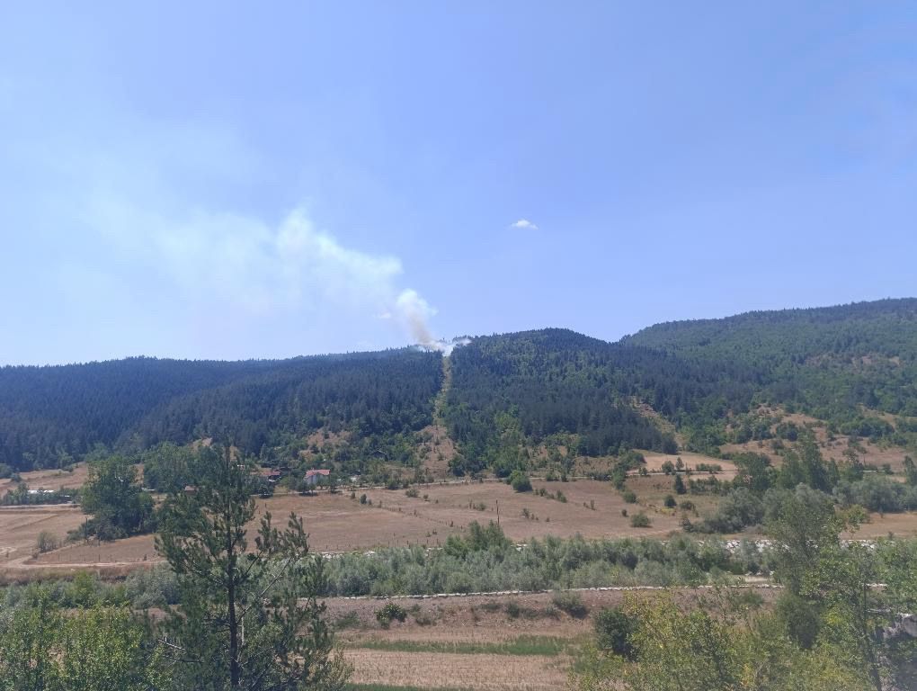Kastamonu'nun Ilçesinde Orman Yangını! 3