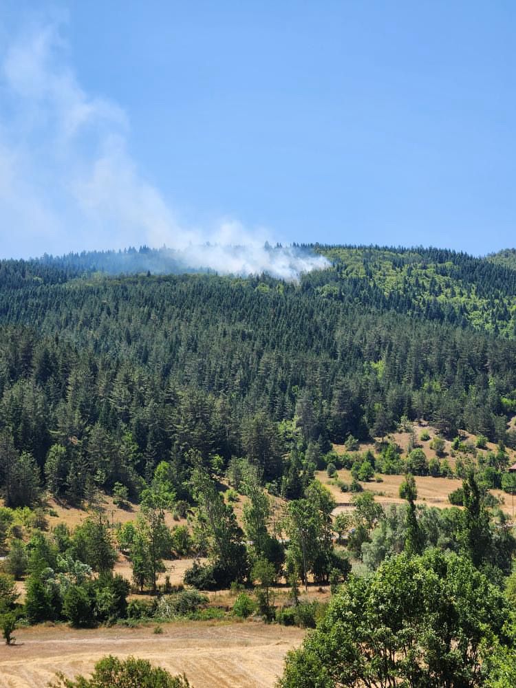 Kastamonu'nun Ilçesinde Orman Yangını!