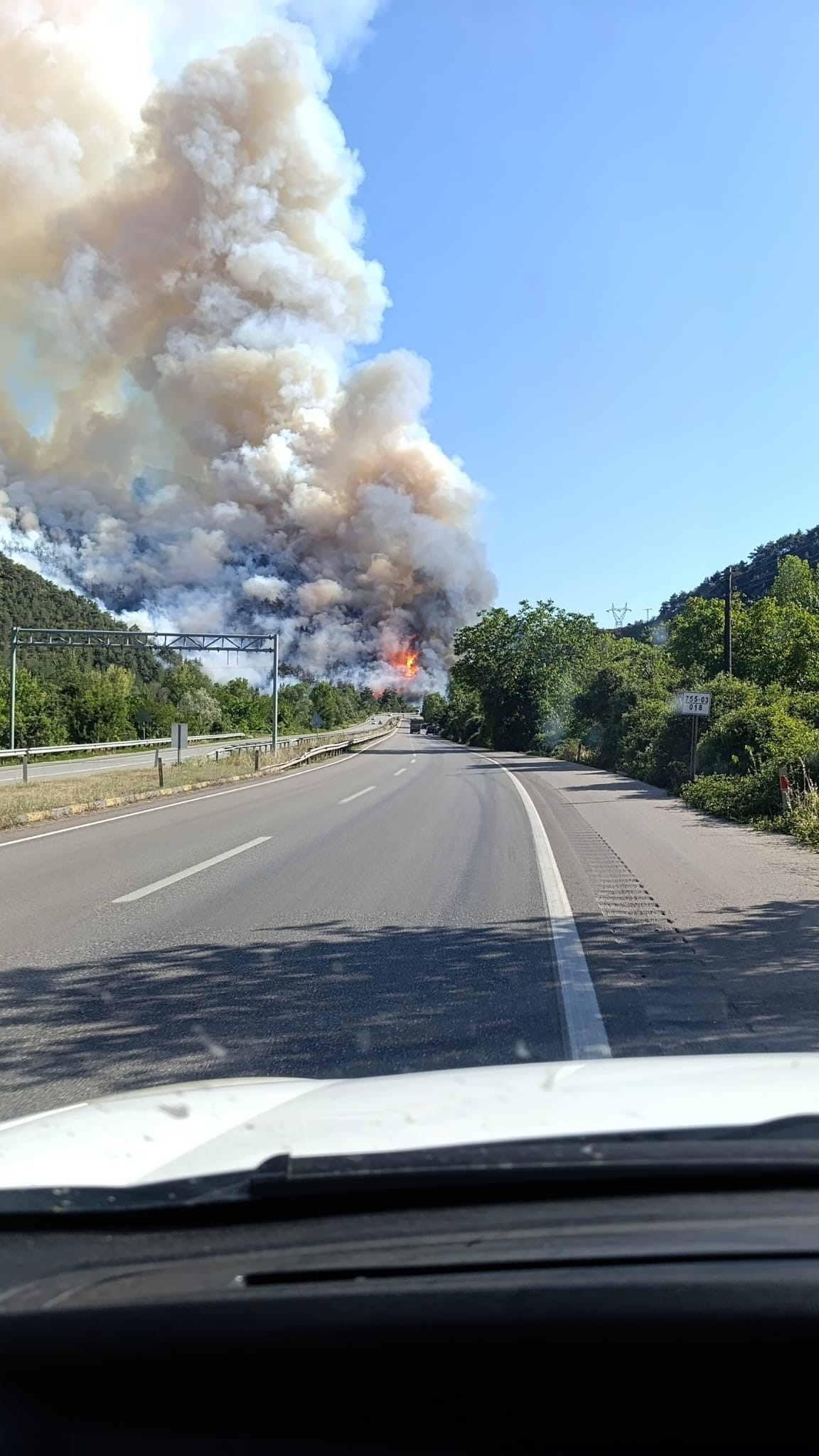 Komşu Ilde Feci Orman Yangını! 1