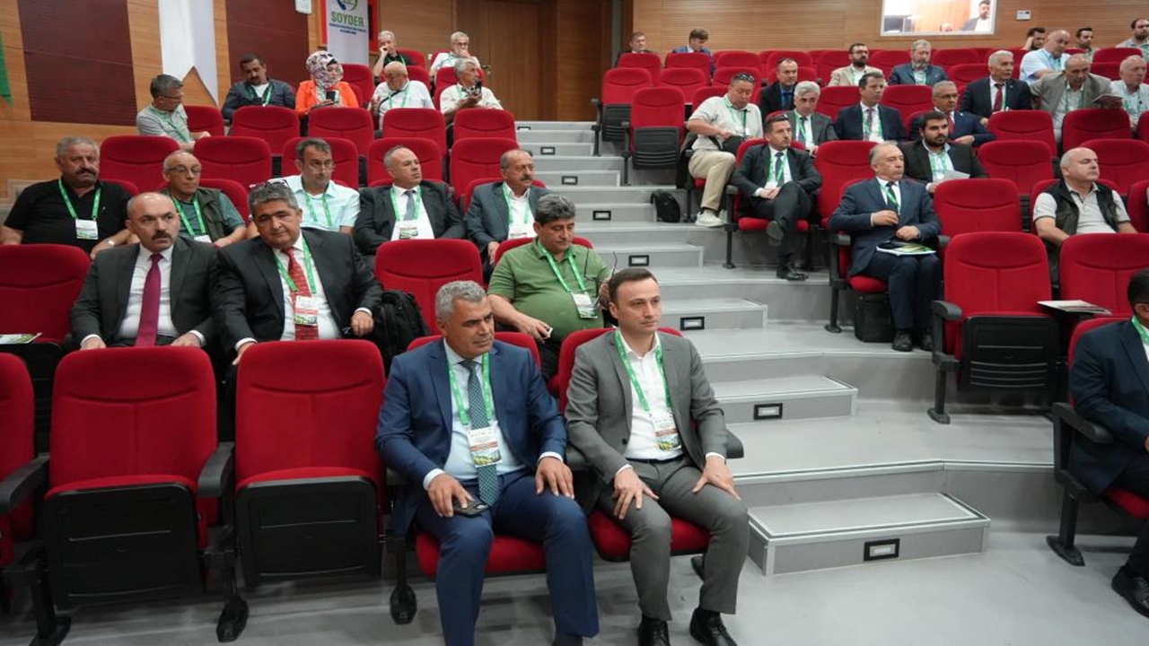 Ormancılık (3)