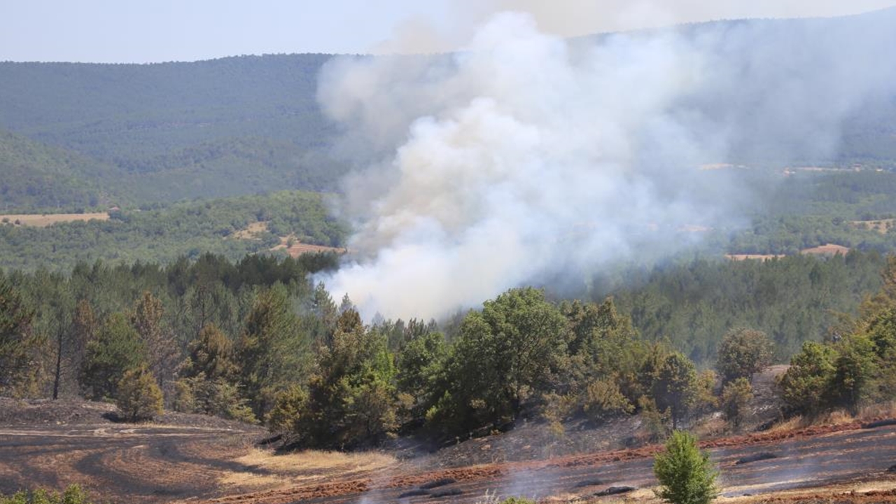 Son Dakika Taşköprü Yangın Kontrol (4)
