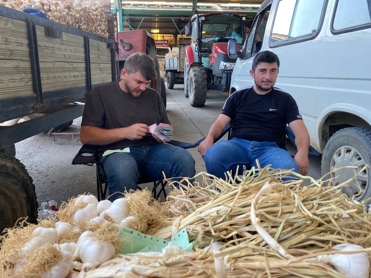 Taşköprü Sarımsağında Ilk Fiyatlar Belli Oldu 3