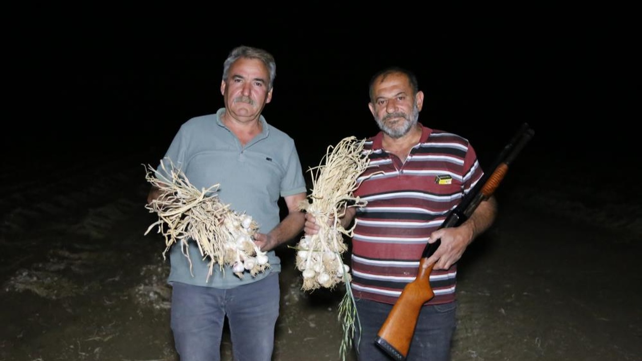 Taşköprü Sarımsak Nöbeti (6)