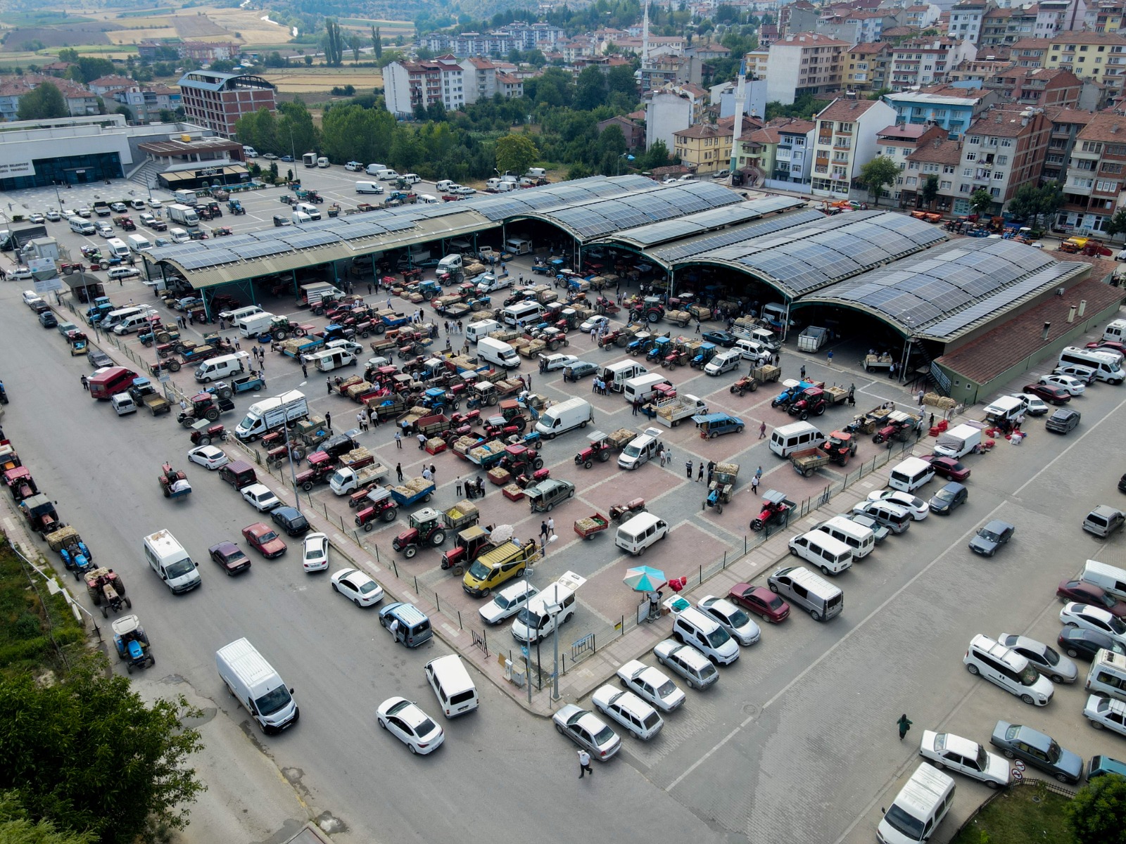 Taşköprü Sarımsak Pazarı Yüzde 100 Dolulukla Rekor Kırdı 1