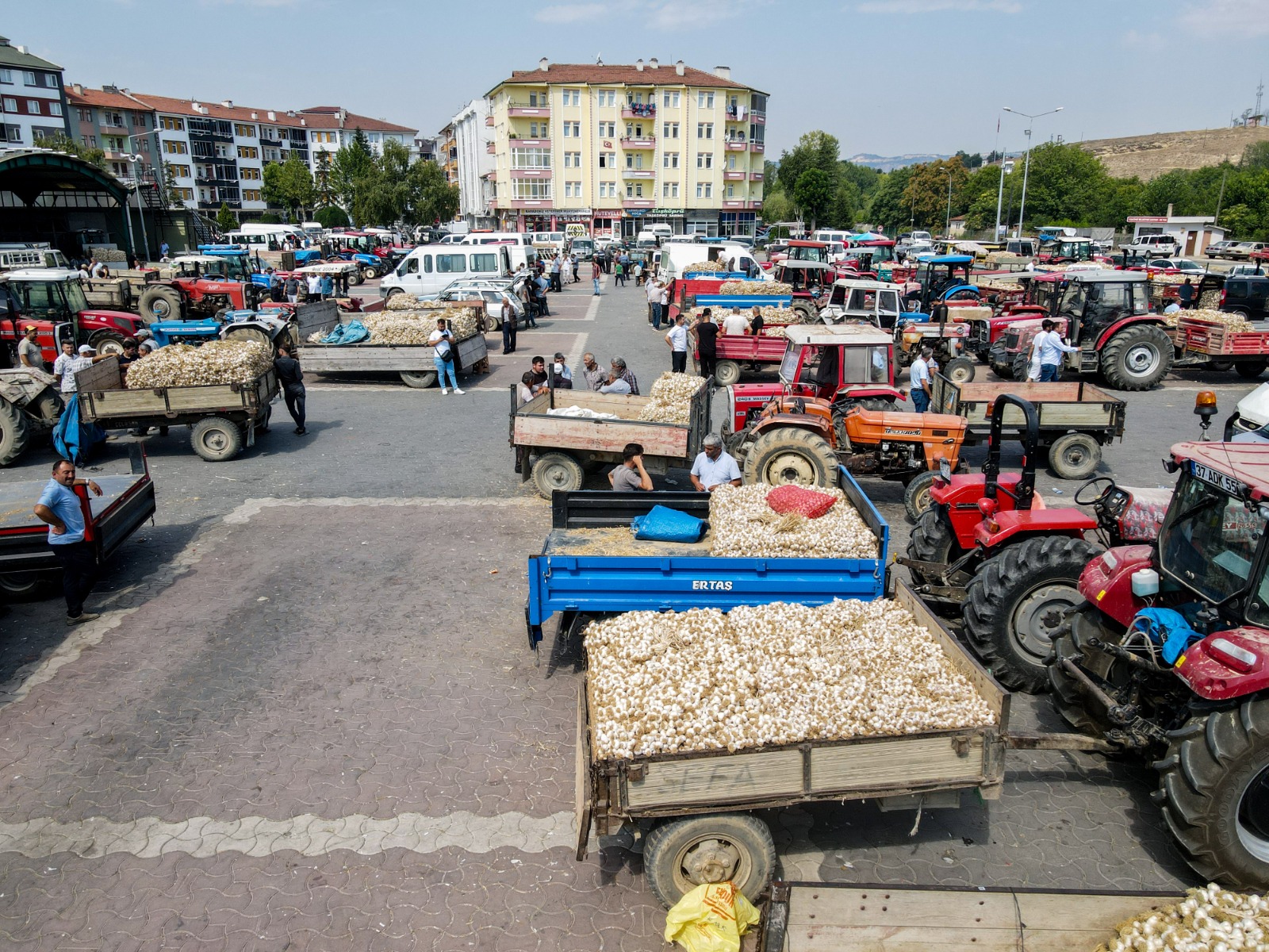 Taşköprü Sarımsak Pazarı Yüzde 100 Dolulukla Rekor Kırdı 3