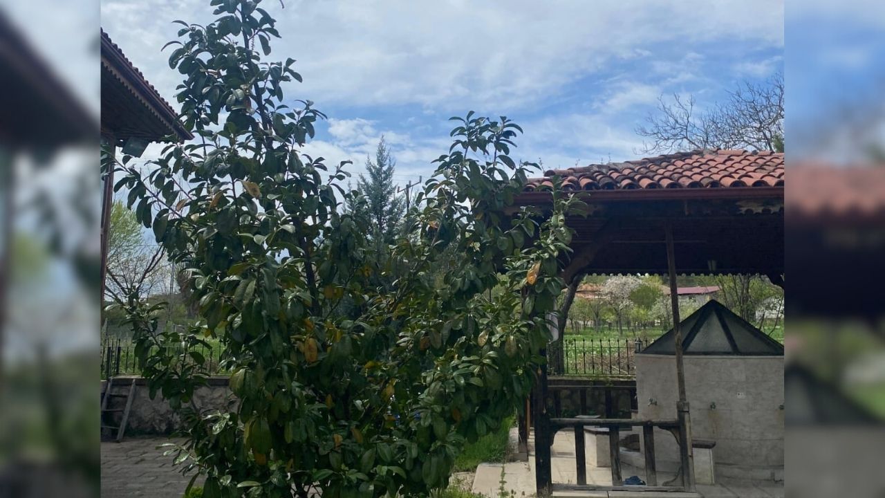 Taşköprü’nün 16. Yüzyıldan Kalan Sessiz Tanığı Kasım Bey Camii (1)