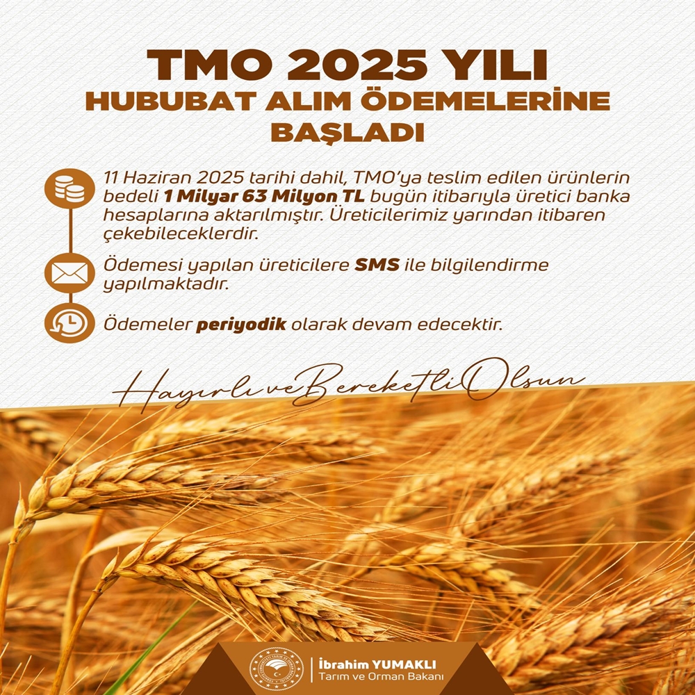 Tmo Hububat-1