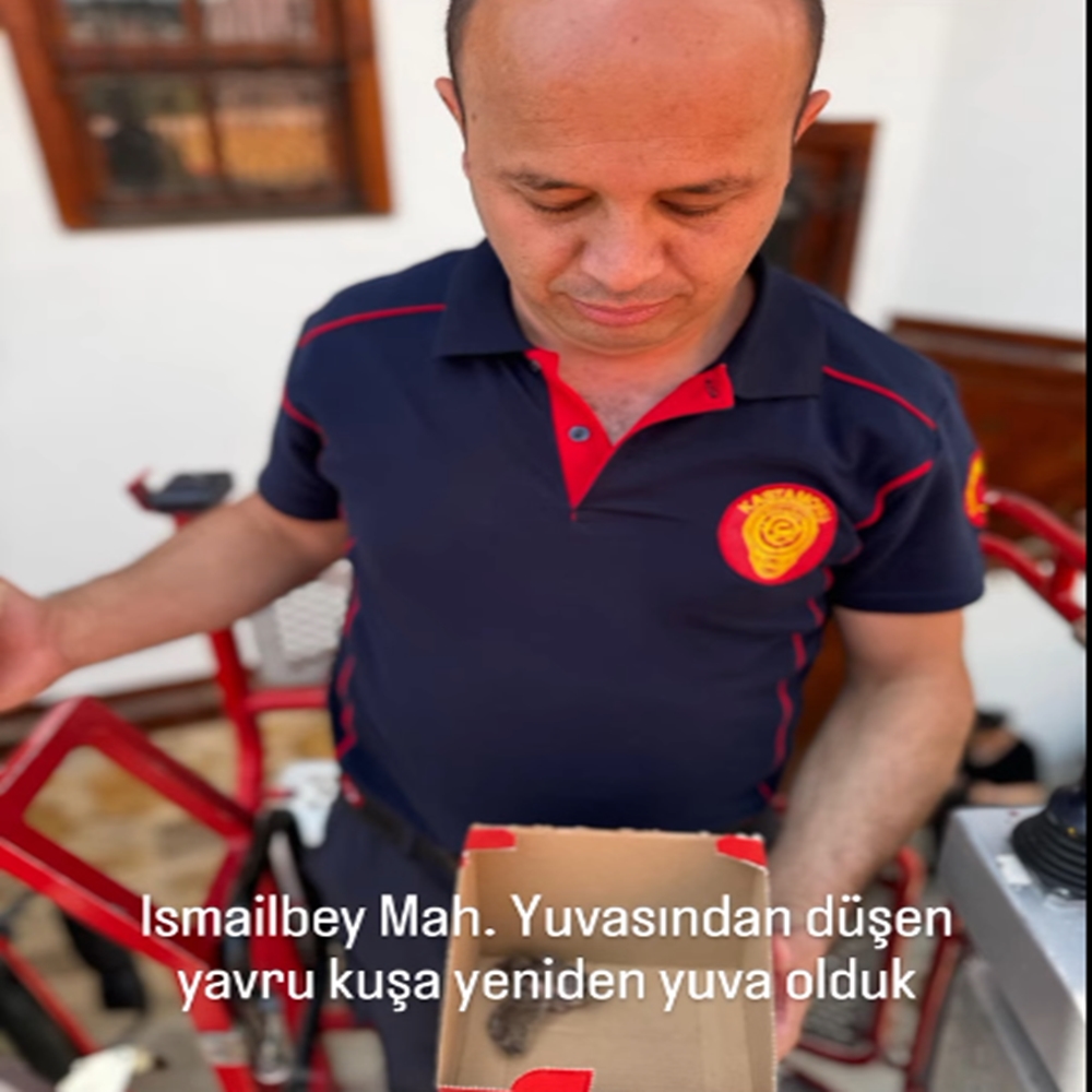Yavru Serçe (2)