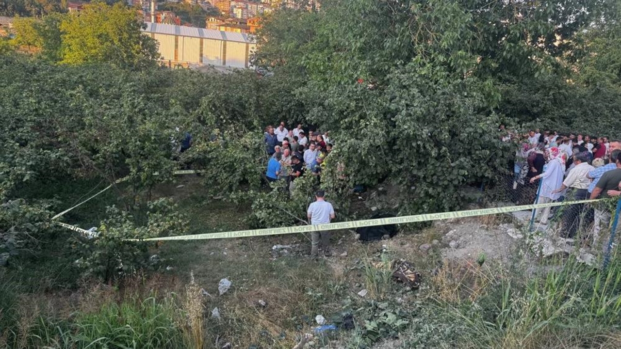 Zonguldak Kamyonet Kaza (1)
