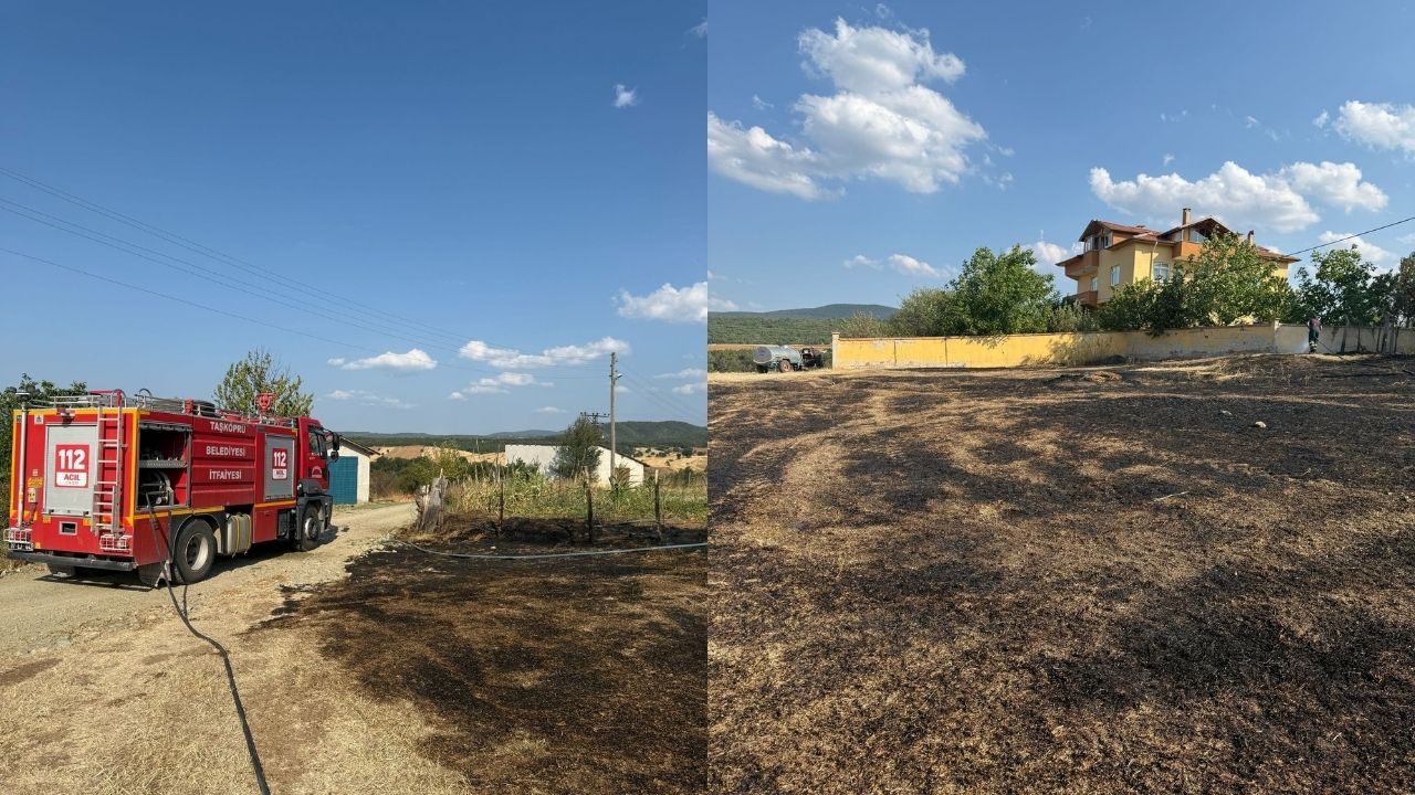 Anız Yangını (3)