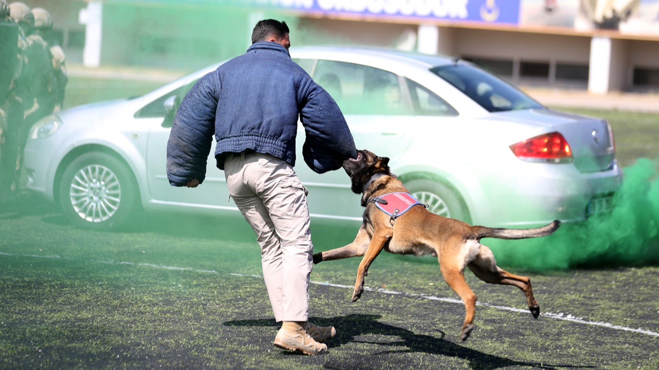 Asker Karabük Komando (2)