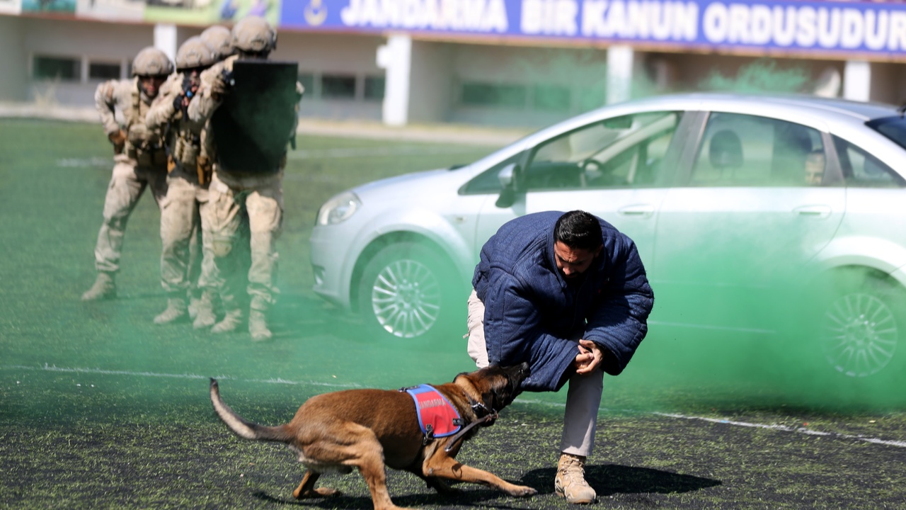 Asker Karabük Komando (3)