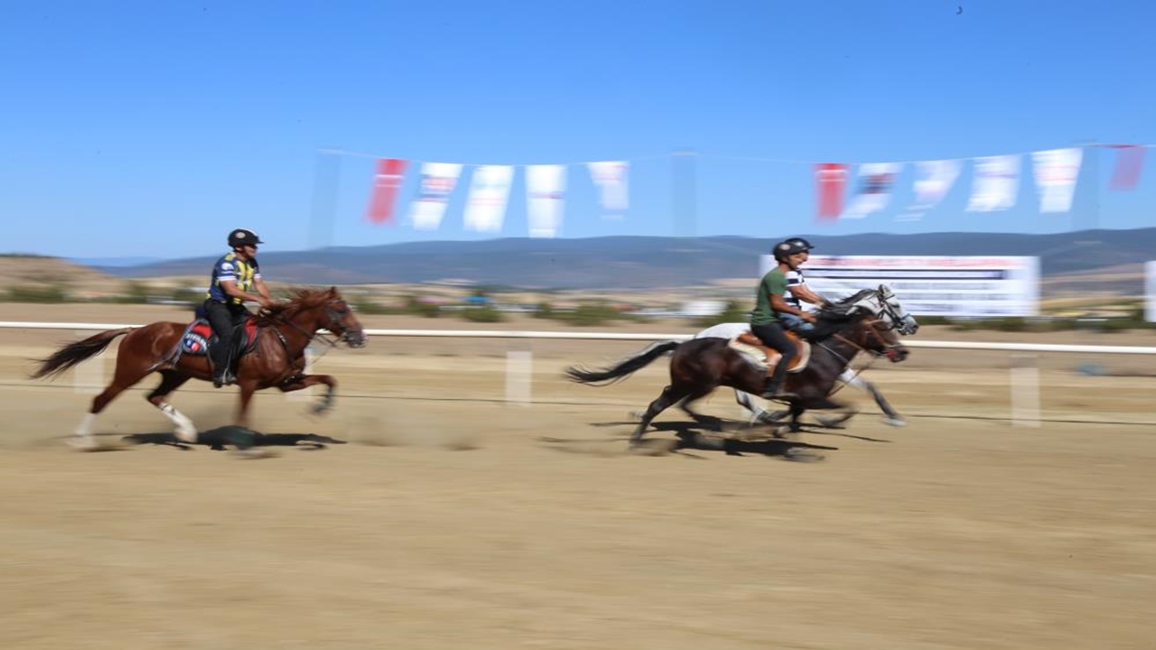 At Yarışları (10)