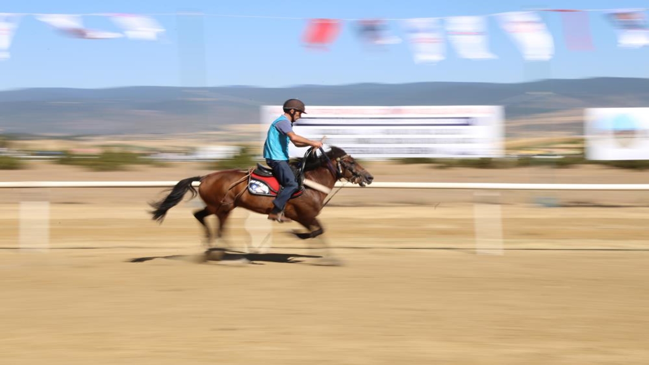 At Yarışları (7)