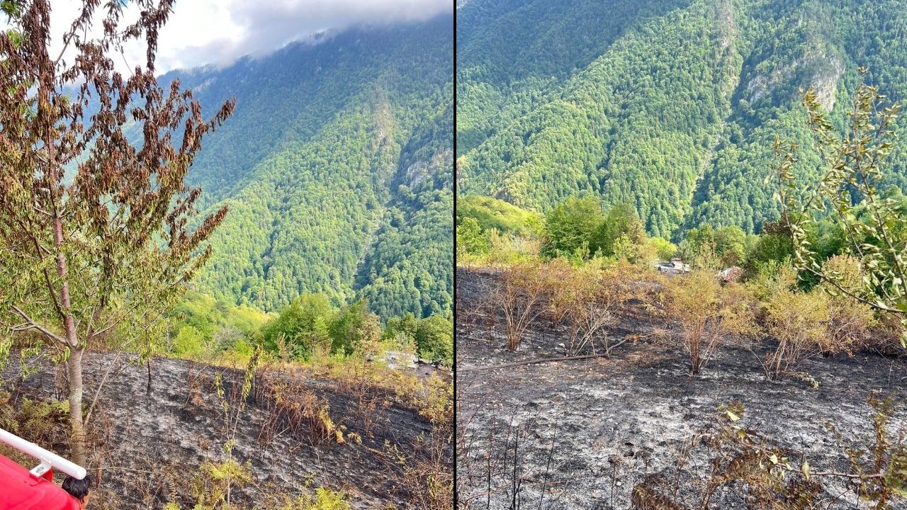 Bozkurt Yangın (2)-1
