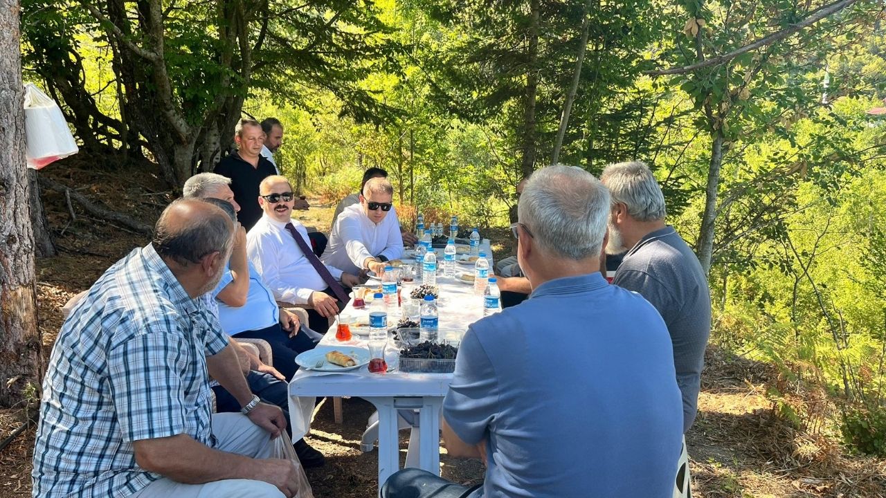 Çatalzeytin Aronya (3)