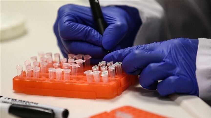 Dsö'den Açıklama Bu Virüse Karşı Aşılama Şart!