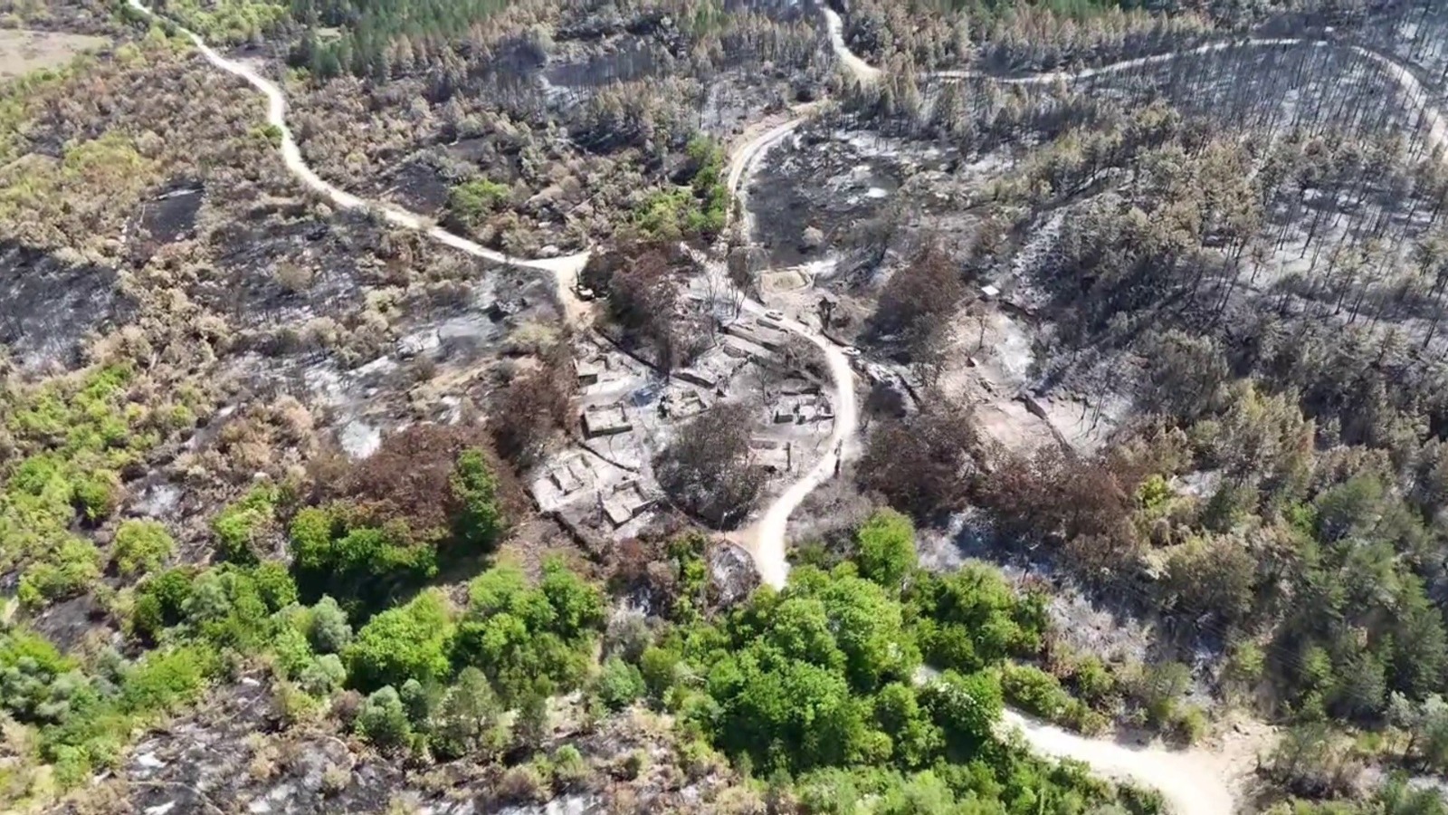 Feci Orman Yangınında Köyün Bir Mahallesi Kül Oldu 88