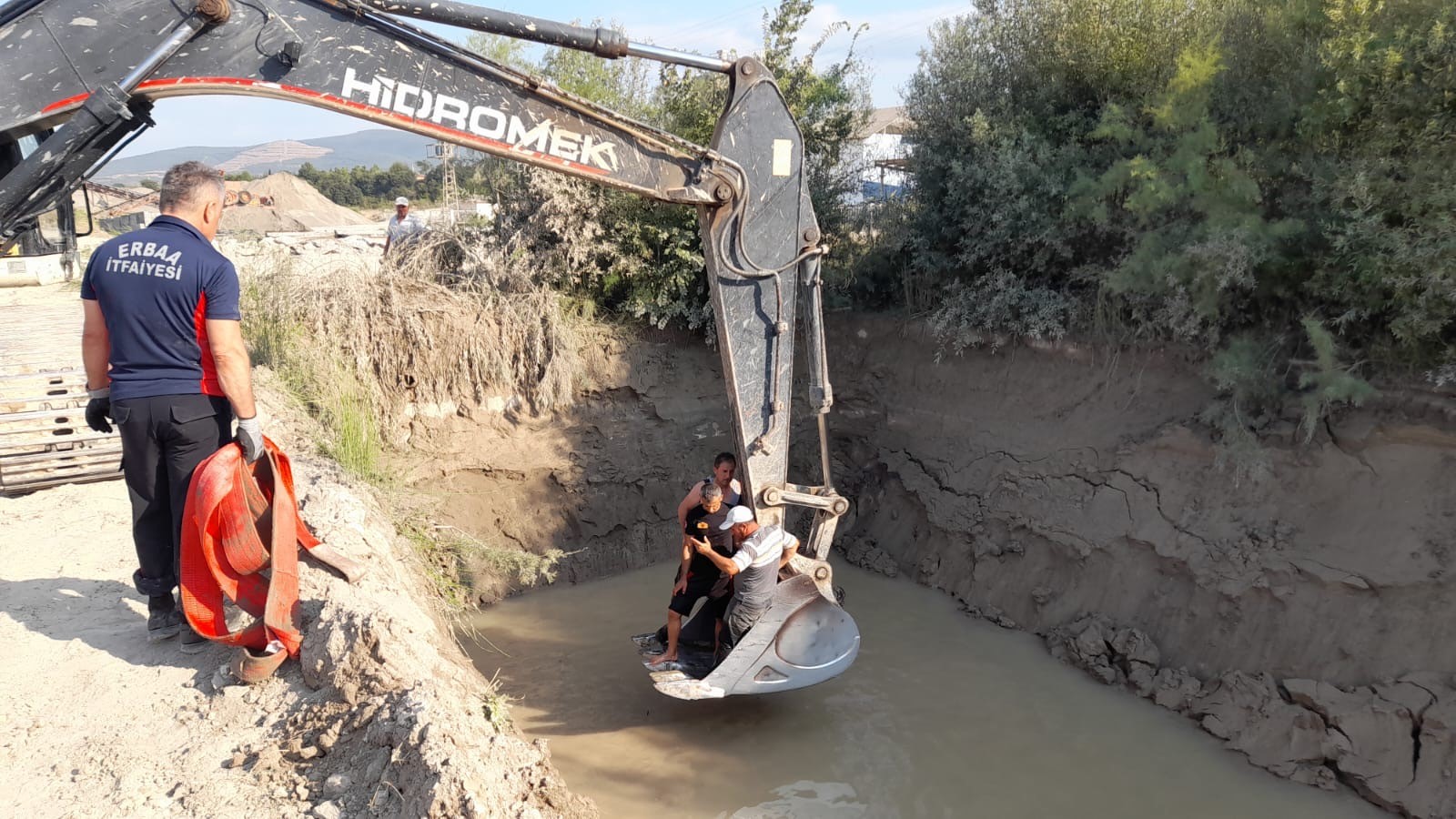 Gölete Düşen Inekler 1 Saatlik Çalışma Sonucu Kurtarıldı 12