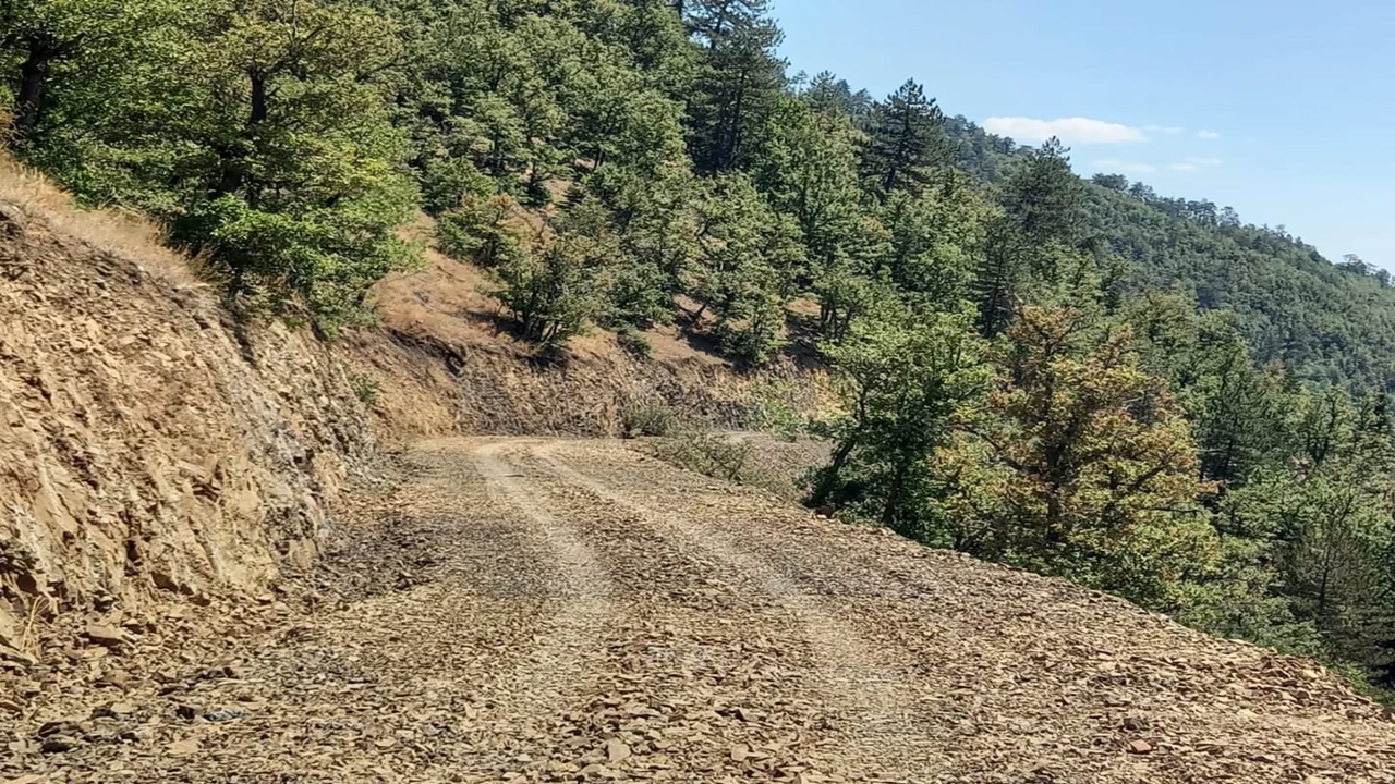 Hanönü Orman Yolu (1)