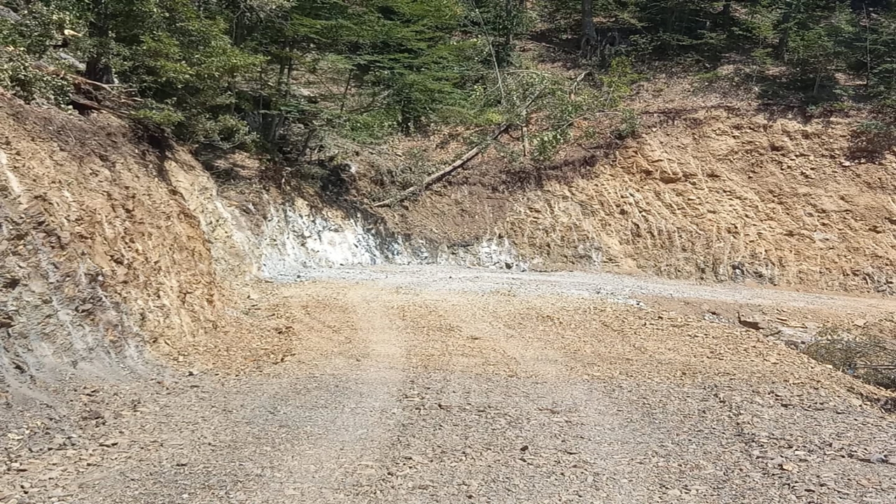 Hanönü Orman Yolu (2)