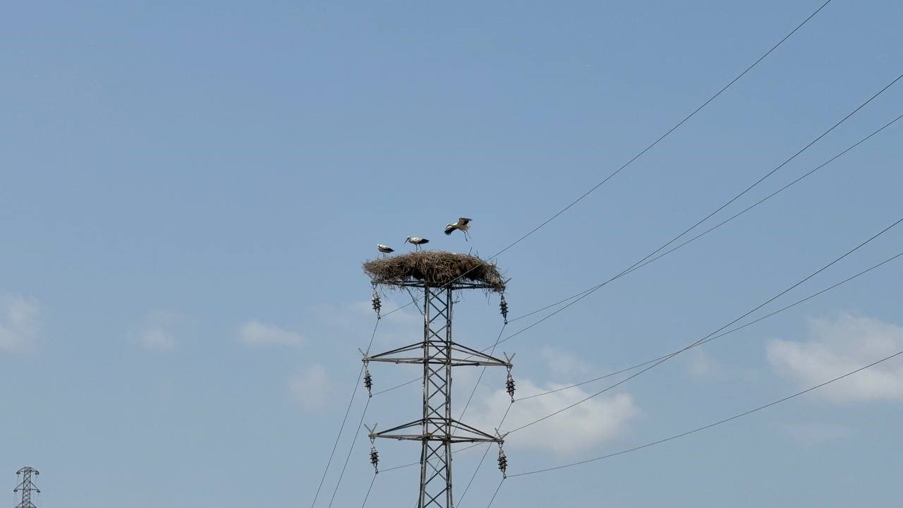 Karabük-2