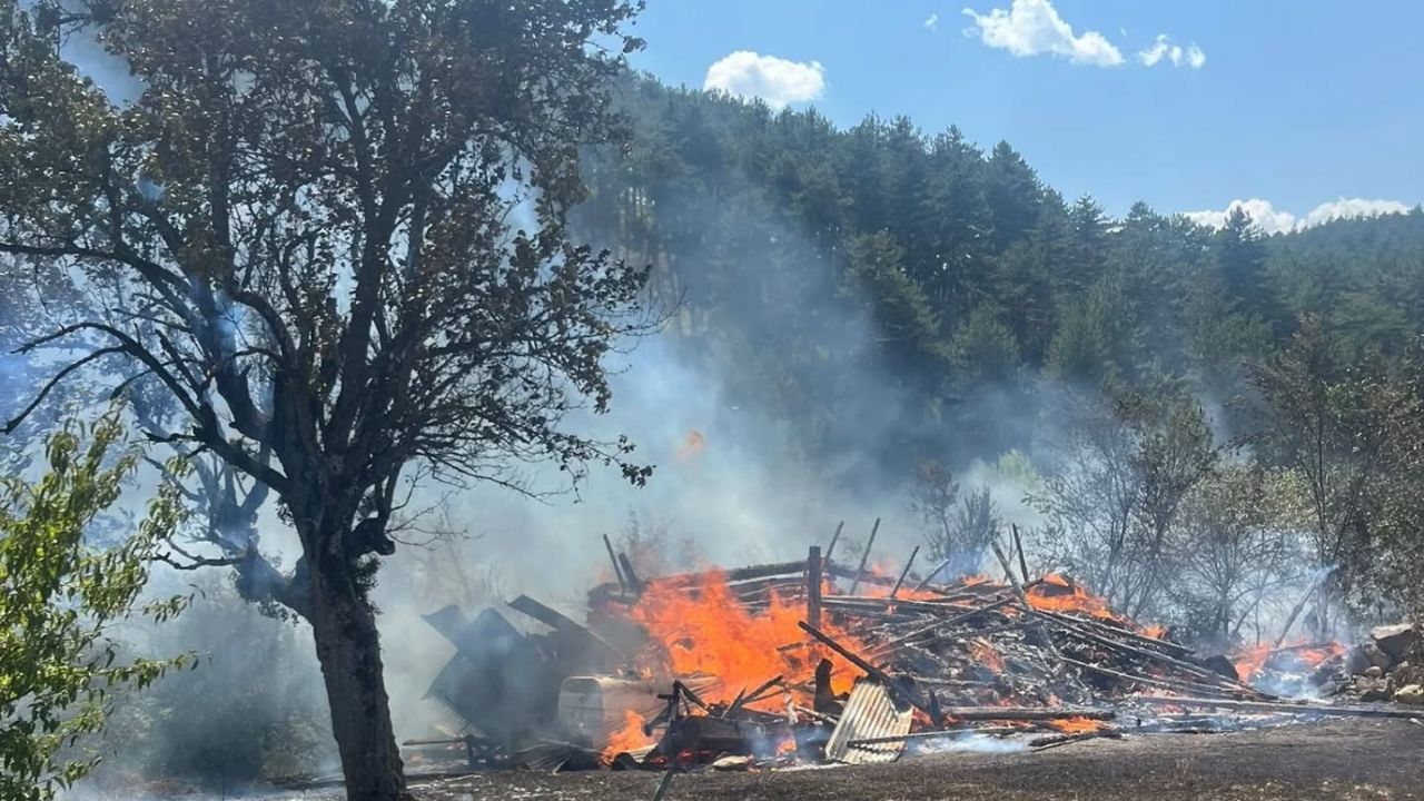 Kastamonu Arac Bahce Yanıgn (2)