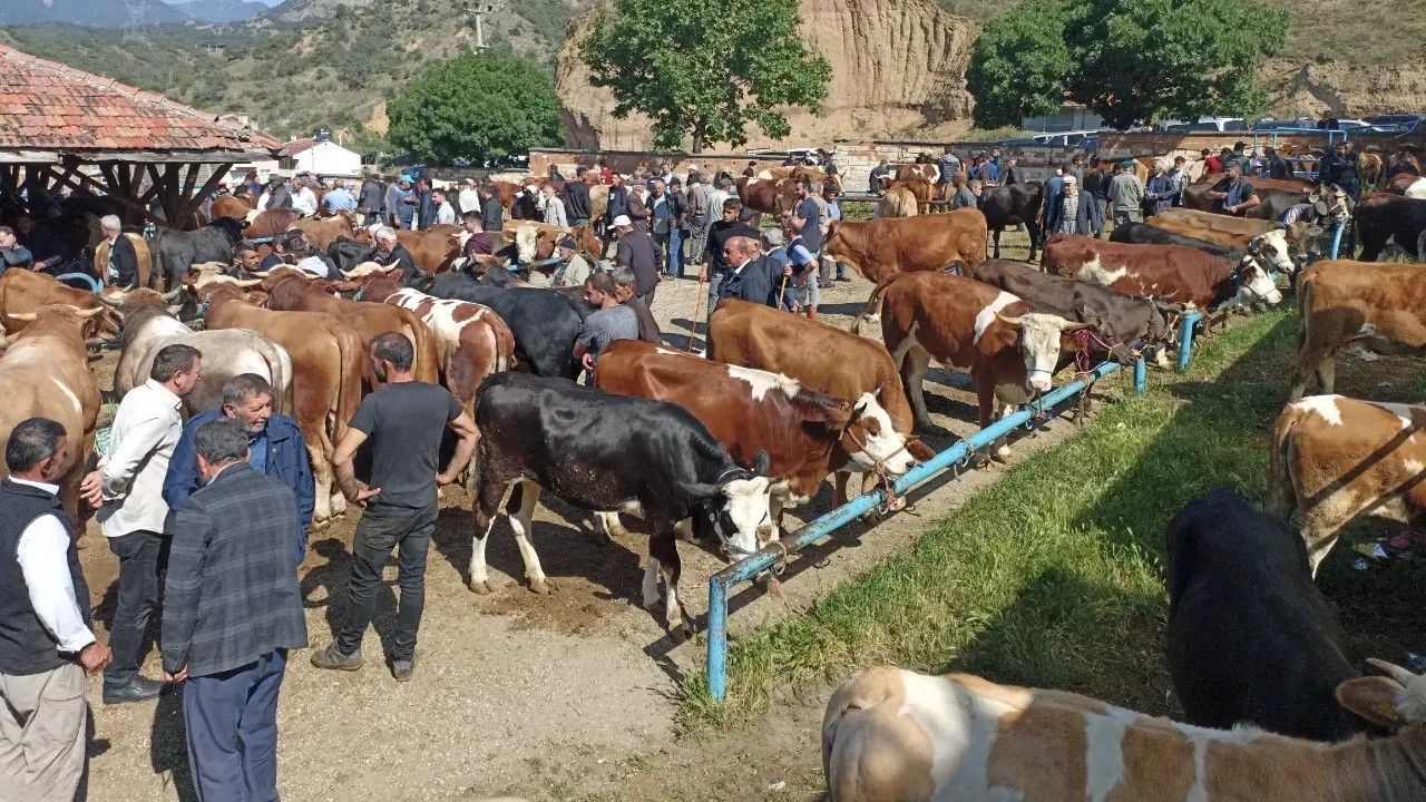 Kastamonu Hayvan Pazarı