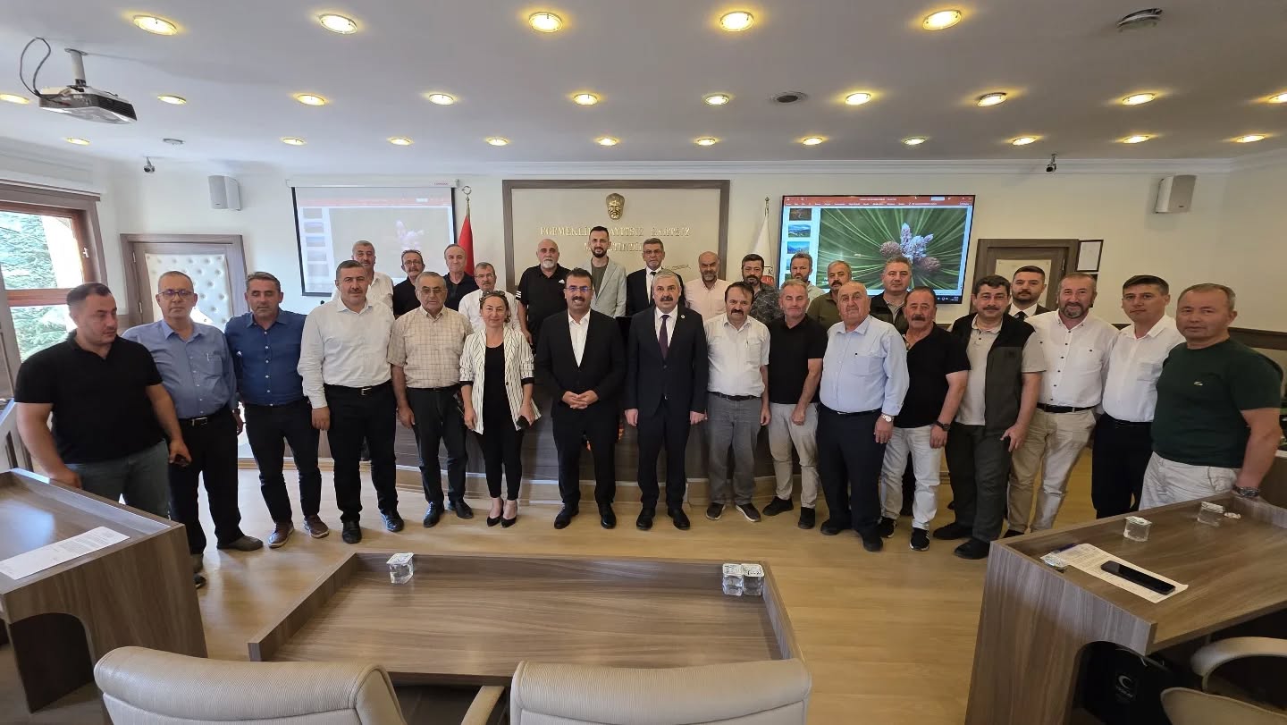 Kastamonu İl Genel Meclisi'nde Orman Yangınları Gündemdeydi! 8