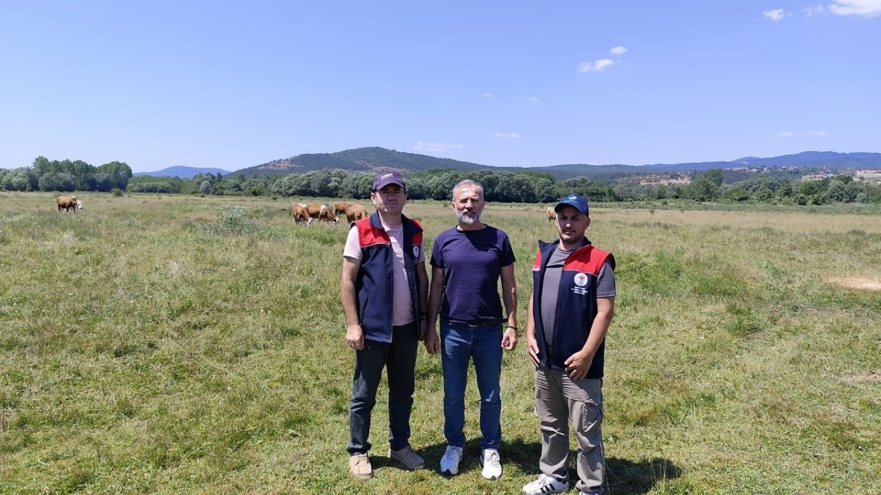 Kastamonu Meralarında Değişim Rüzgarı Islah Çalışmaları Meyvesini Verdi (2)