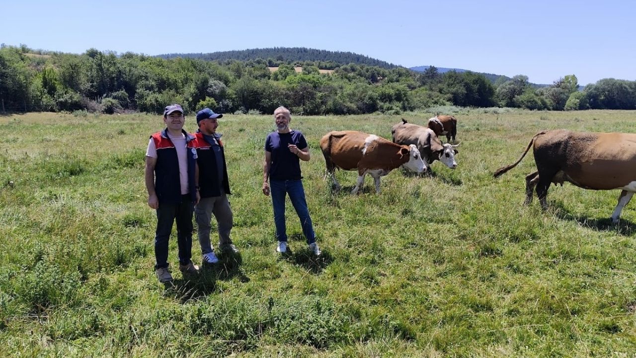 Kastamonu Meralarında Değişim Rüzgarı Islah Çalışmaları Meyvesini Verdi (3)