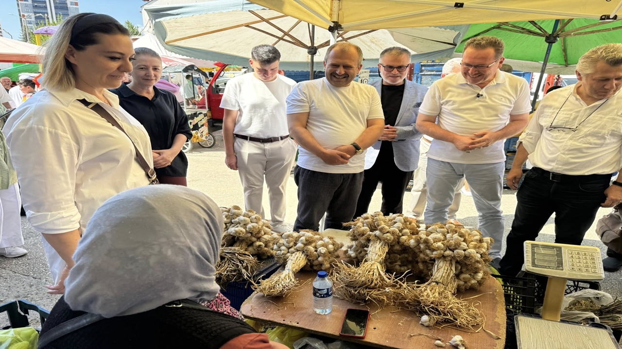 Kastamonu Milletvekilleri Pazarda (7)