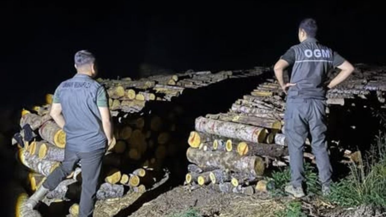 Kastamonu Ormanlarında Gece Mesaisi Devam Ediyor (1)