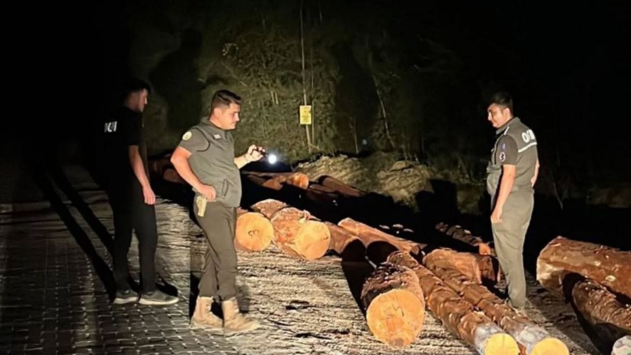 Kastamonu Ormanlarında Gece Mesaisi Devam Ediyor (2)