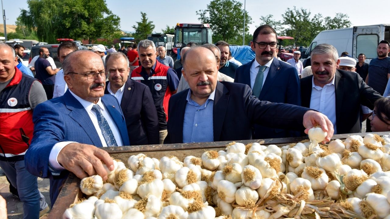 Kastamonu Valisi Taşköprü Sarımsak Pazarı’nda Üreticilerle Buluştu (2)