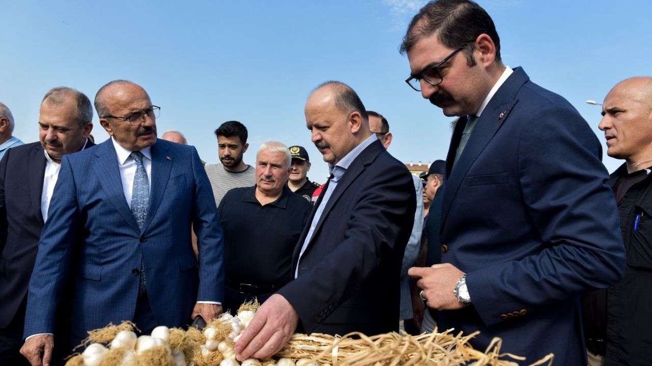 Kastamonu Valisi Taşköprü Sarımsak Pazarı’nda Üreticilerle Buluştu (7)