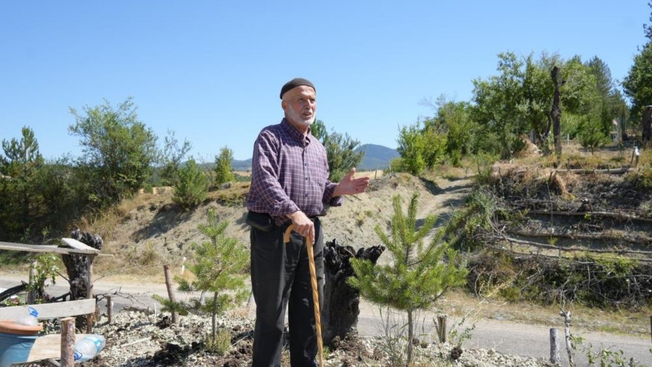 Kastamonu’da 32 Yıllık Dönüşüm Çorak Araziyi Cennete Çevirdi (1)