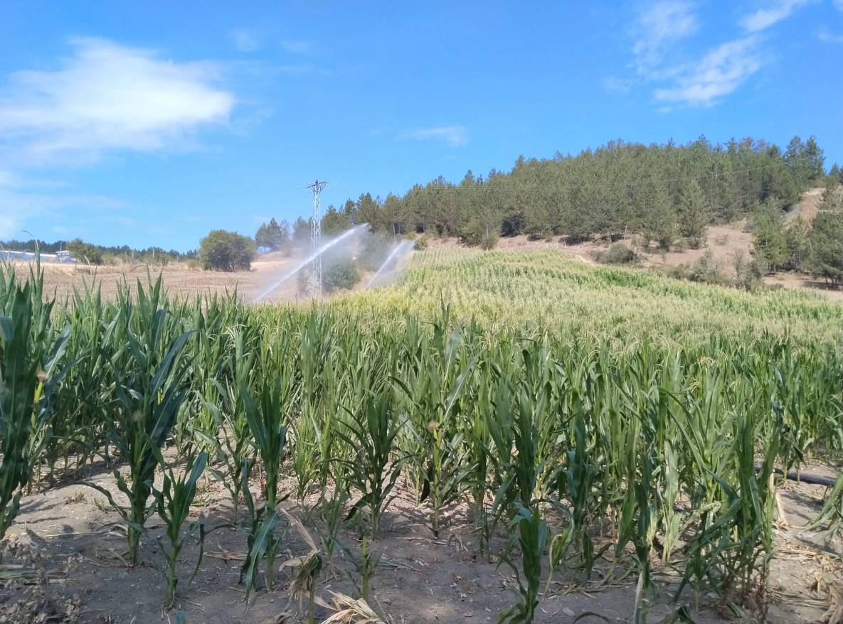 Kastamonu’da Çiftçilere Yeni Destekleme Modeli Anlatıldı 1-3