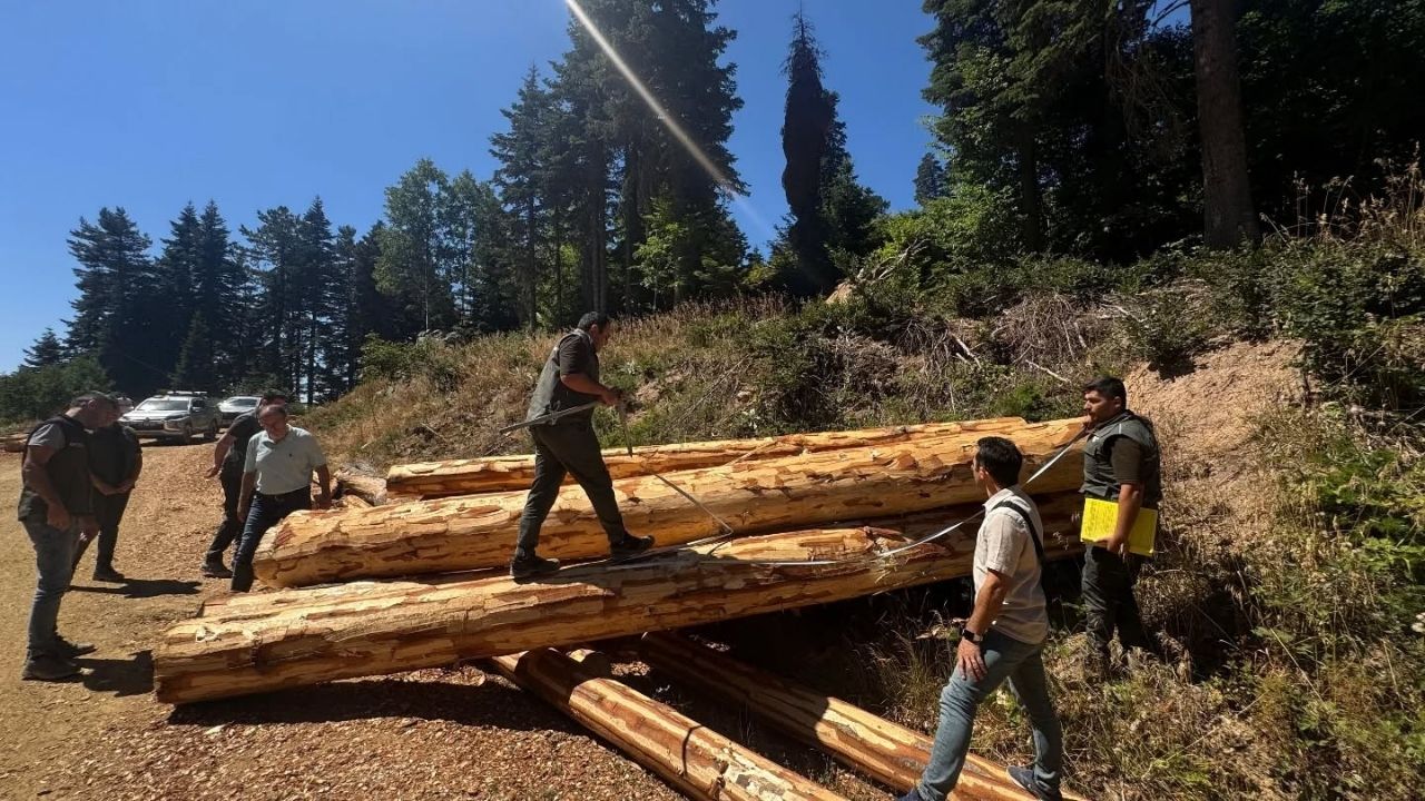 Kastamonu’da Orman Üretim Çalışmalarına Saha Denetimi (2)
