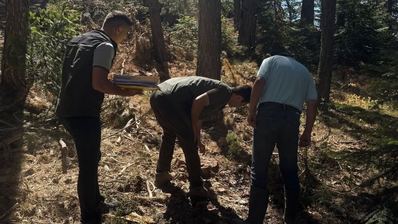 Kastamonu’da Orman Üretim Çalışmalarına Saha Denetimi (3)