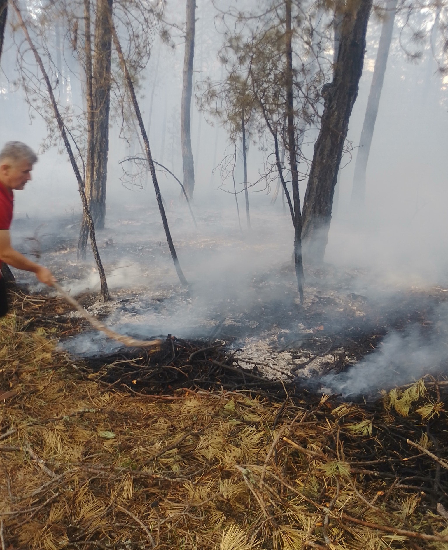 Kastamonu'da Orman Yangını Büyümeden Önlendi 5
