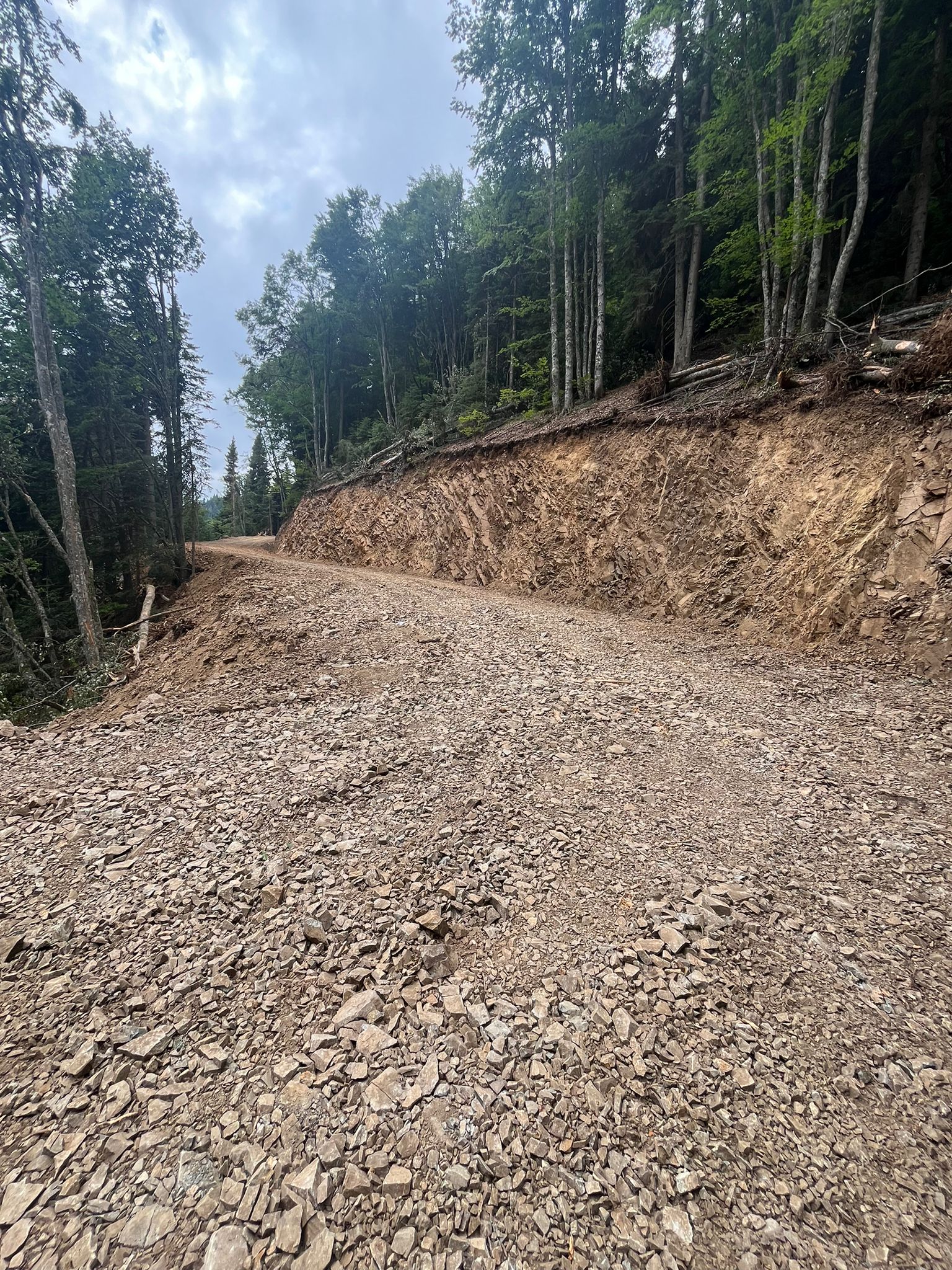 Kastamonu'da Orman Yolları Bir Bir Tamamlanıyor! 2