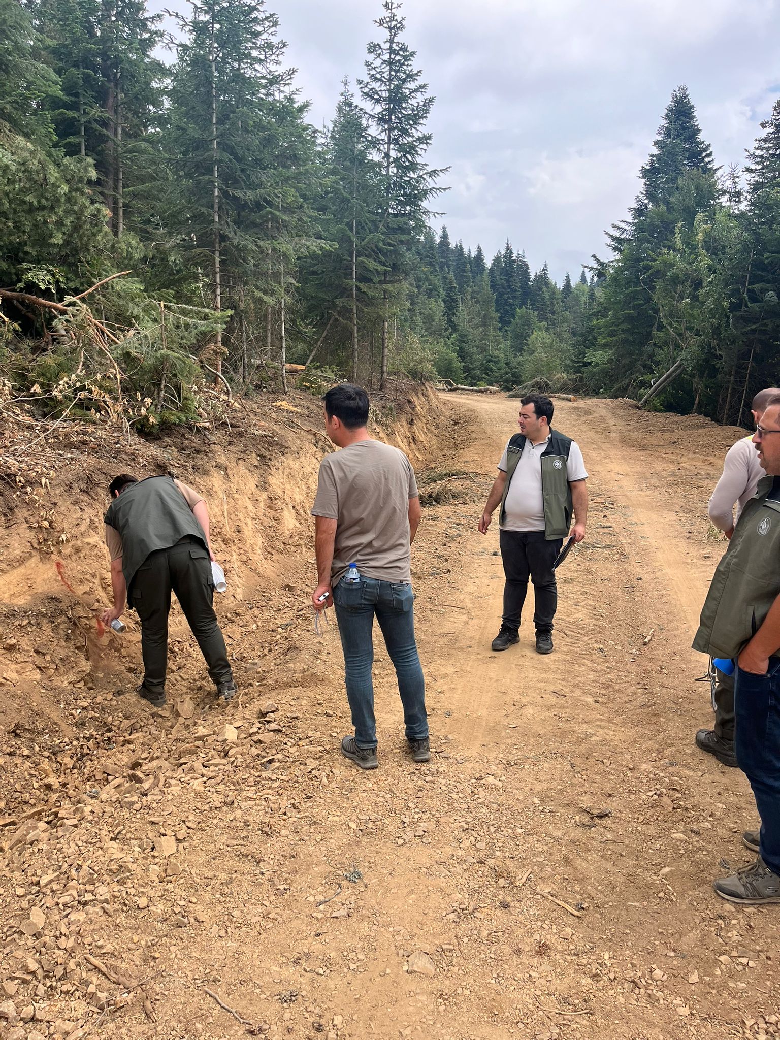 Kastamonu'da Orman Yolları Bir Bir Tamamlanıyor! 3