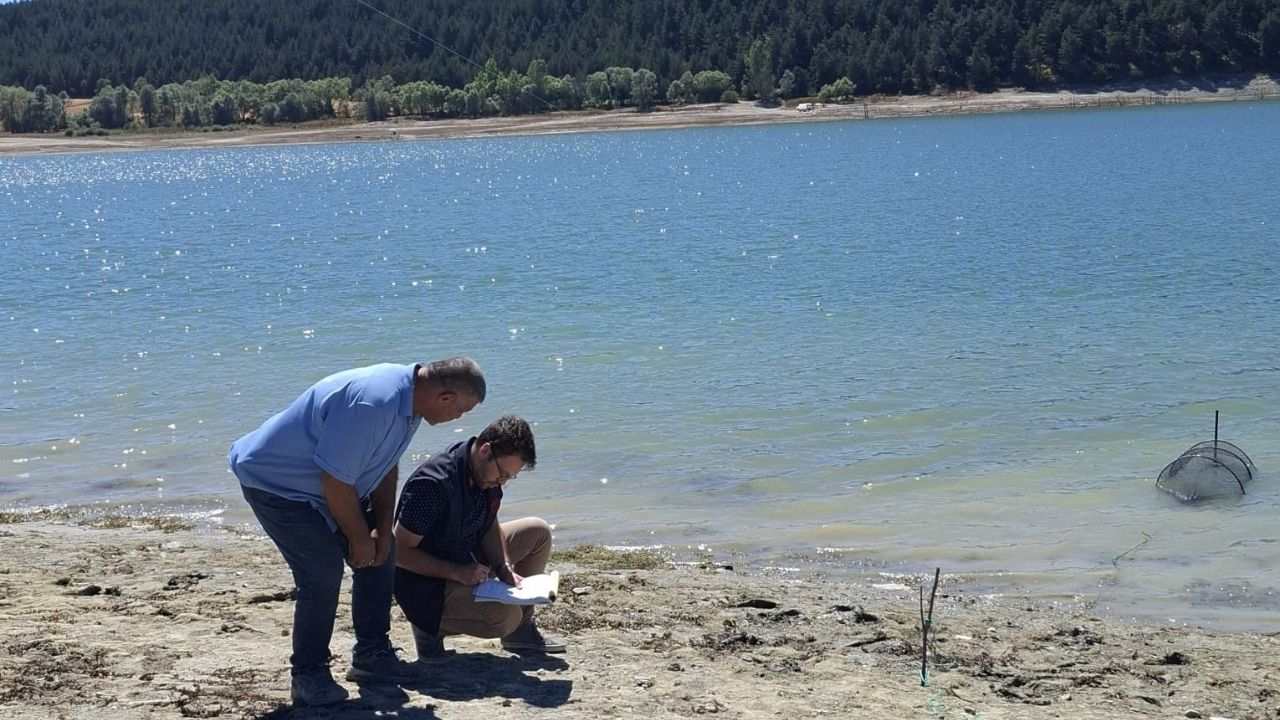 Kastamonu’da Sıkı Denetim Kaçak Avcılığa Geçit Yok! (1)