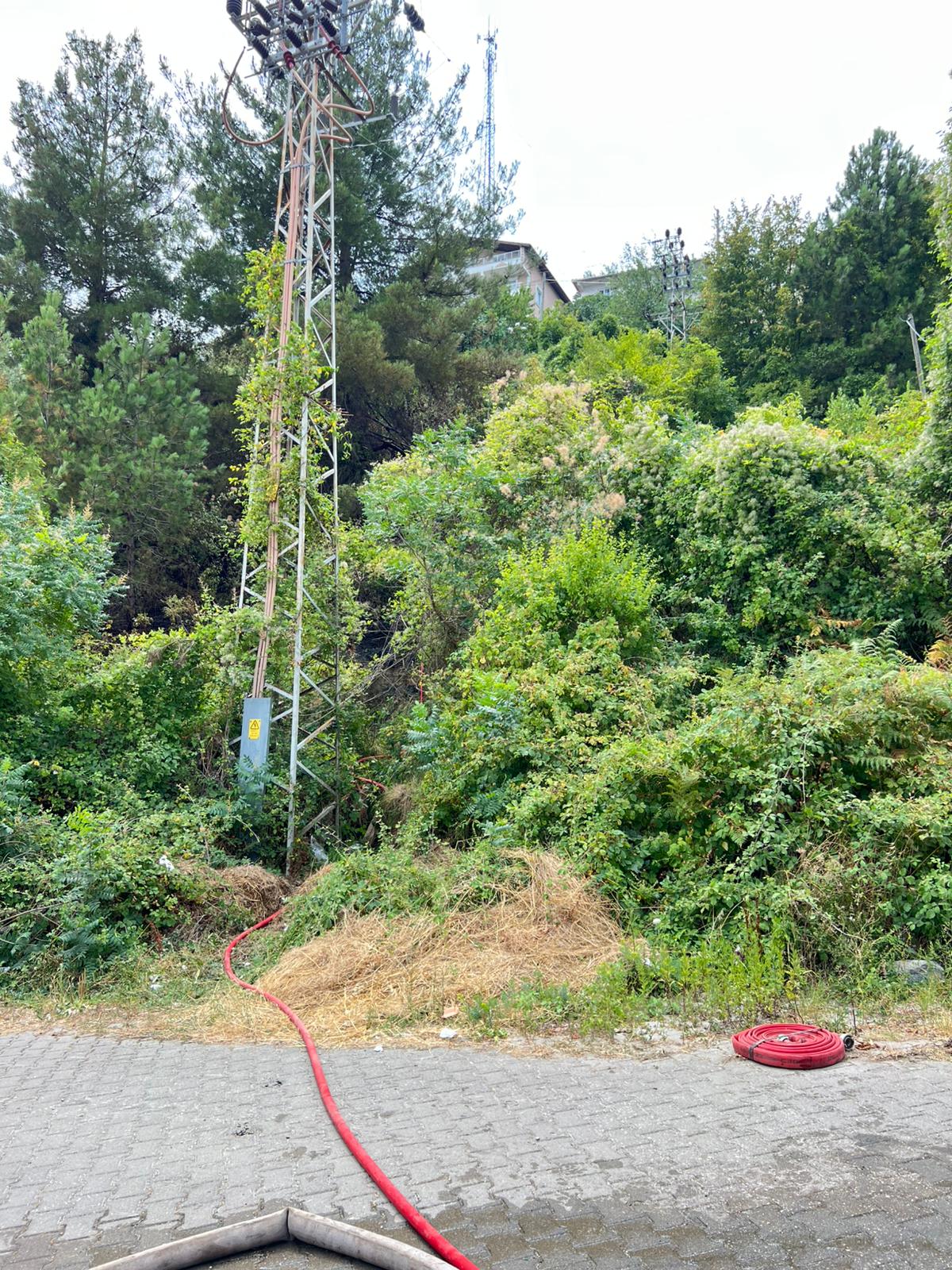 Kastamonu'nun İlçesinde Arazi Yangını Çıktı2